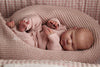 Harriet by Cassie Love