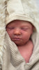 LENNOX by Cassie Love - truborns