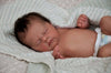 MIGUEL by Samantha Gregory - truborns