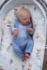MIGUEL by Samantha Gregory - truborns