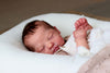 LENNOX by Cassie Love - truborns