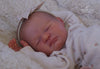 REVERIE by Sienna Niall