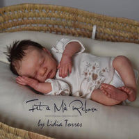 Tulipa by Priscila Lopez