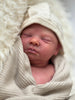 LENNOX by Cassie Love - truborns