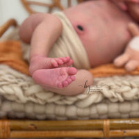 Tulipa by Priscila Lopez