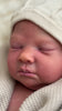 LENNOX by Cassie Love - truborns