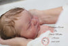 ZARAH by Sheila Mrofka - truborns