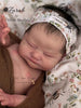 ZARAH by Sheila Mrofka - truborns