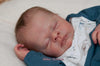 THEO by Doris Hornbogen