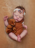 LITTLE BEAR by Beatriz Clemente