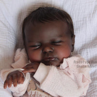 DUNE by Sheila Mrofka