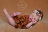 LITTLE BEAR by Beatriz Clemente