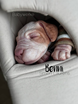 BENNI the Labrador kit by Simon Laurens