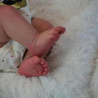 REVERIE by Sienna Niall