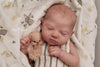 LENNOX by Cassie Love - truborns