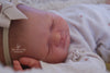 REVERIE by Sienna Niall