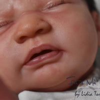 Tulipa by Priscila Lopez