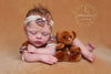 LITTLE BEAR by Beatriz Clemente