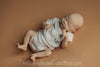 HARRY with full twin A limbs by Bonnie Brown