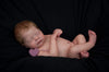 LOUELLE by Sabine Altenkirch - truborns