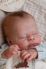 THEO by Doris Hornbogen