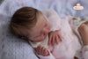 LOVELY by Cassie Ann Love