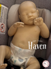 HAVEN by Izzy Zhao