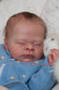 THEO by Doris Hornbogen