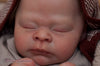 THEO by Doris Hornbogen