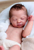 LENNOX by Cassie Love - truborns