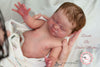 ZARAH by Sheila Mrofka - truborns