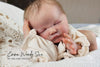 EMMA WENDY SUE by Melanie Ingold