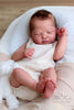 LENNOX by Cassie Love - truborns