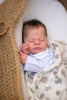 THEO by Doris Hornbogen