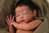 Arrow by Dawn McLeod - truborns