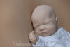 HARRY- cuddle head with 1/4 hands.