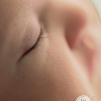 REVERIE by Sienna Niall