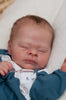 THEO by Doris Hornbogen
