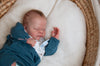 THEO by Doris Hornbogen