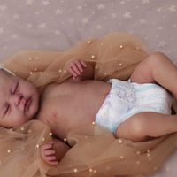 DUNE by Sheila Mrofka