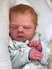 MIGUEL by Samantha Gregory - truborns