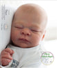 THEO by Doris Hornbogen