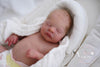 LOUELLE by Sabine Altenkirch - truborns