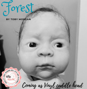FOREST by Toby Morgan