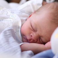 THEO by Doris Hornbogen