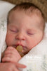 Elsie Anne by Doris Hornbogen