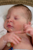 Elsie Anne by Doris Hornbogen
