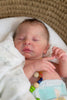 Elsie Anne by Doris Hornbogen