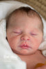 Elsie Anne by Doris Hornbogen