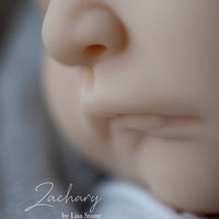 ZACHARY by Lisa Stone